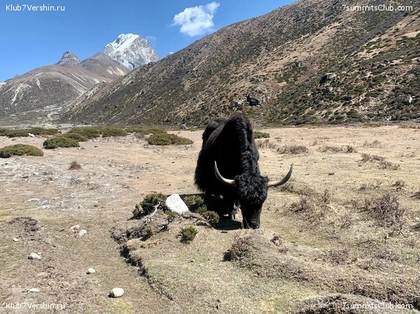 ������� 2022. ����� ���������. ����� 1. ����, ���� 147