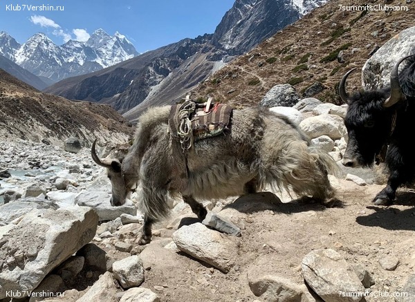 ������� 2022. ����� ���������. ����� 1. ����, ���� 107