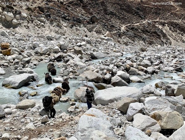 ������� 2022. ����� ���������. ����� 1. ����, ���� 253