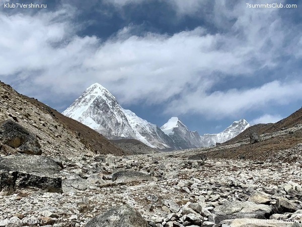 ������� 2022. ����� ���������. ����� 1. ����, ���� 229