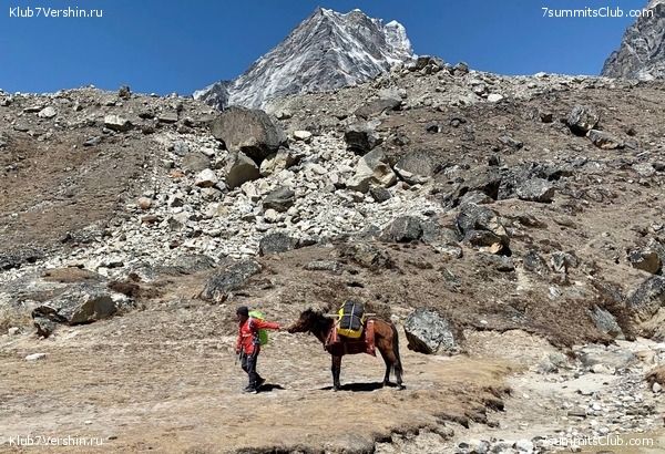 ������� 2022. ����� ���������. ����� 1. ����, ���� 39