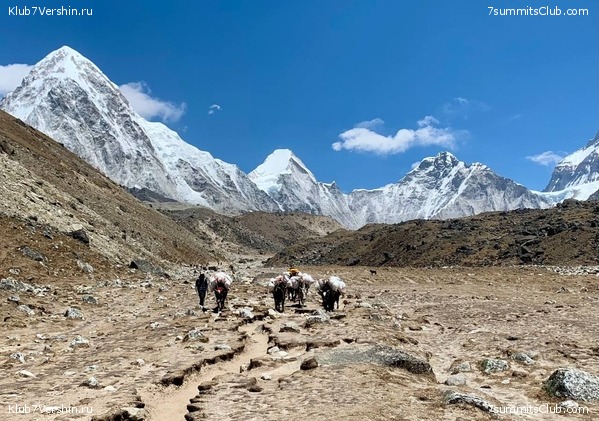 ������� 2022. ����� ���������. ����� 1. ����, ���� 63