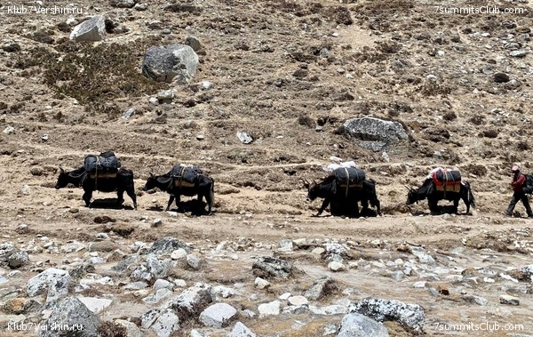 ������� 2022. ����� ���������. ����� 1. ����, ���� 12