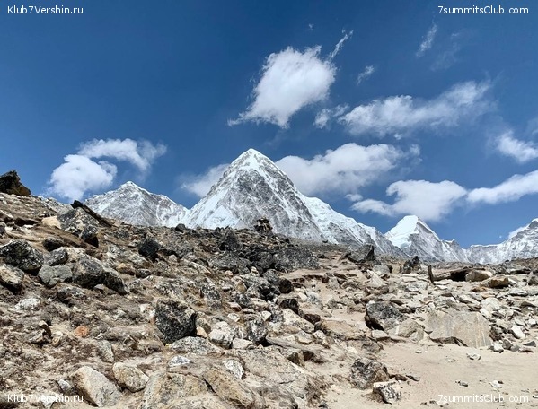 ������� 2022. ����� ���������. ����� 1. ����, ���� 259