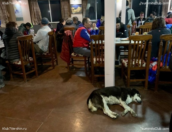 ������� 2022. ����� ���������. ����� 1. ����, ���� 264