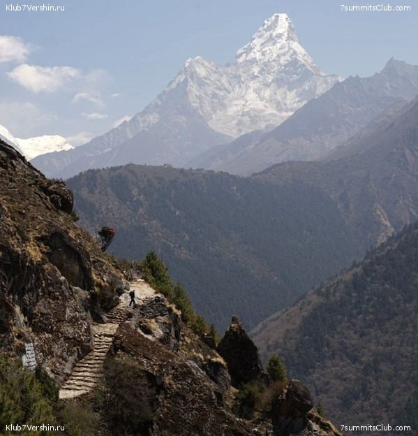 ������� 2022. ��������� "������������� � ��������" �. ���������, ���� 93