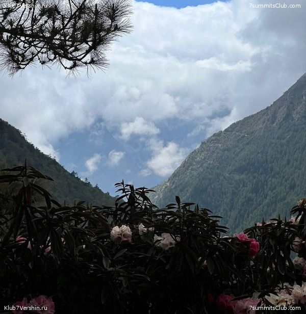 ����� 2022. ������������ ������, ���� 84