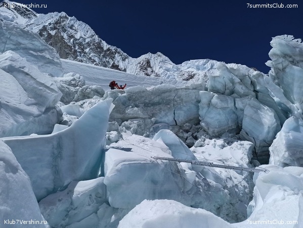 ������� 2022. ��������� "������������� � ��������" �. ���������, ���� 81