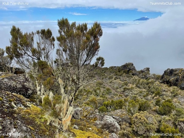 ������������ 2022. �������� � ������ ������, ���� 3