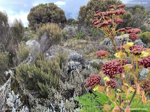 ������������ 2022. �������� � ������ ������, ���� 6