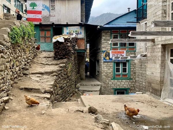 ������� 2022. �����-����� �� ����� ���������� � ������., ���� 13