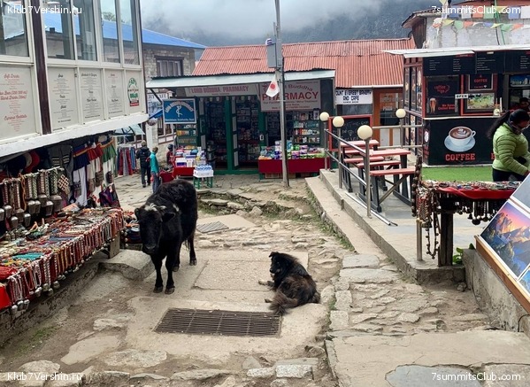 ������� 2022. �����-����� �� ����� ���������� � ������., ���� 5