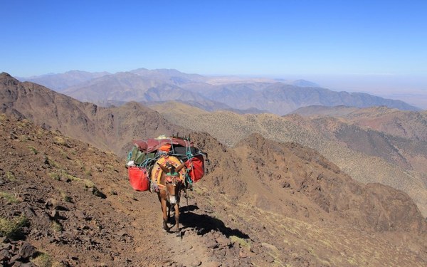 ������� �������. ����� ����������, ���� 11