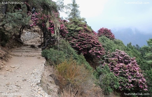 ������� 2022. ���������� ������ � ����������, ���� 10