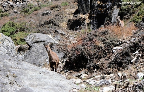 ������� 2022. ���������� ������ � ����������, ���� 11