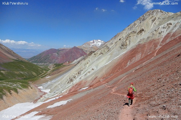 �����, ���� 43