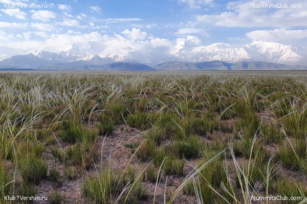 �����, ���� 44