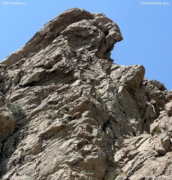 ��������. ���� 2022 ����. ������� ��������, ���� 82