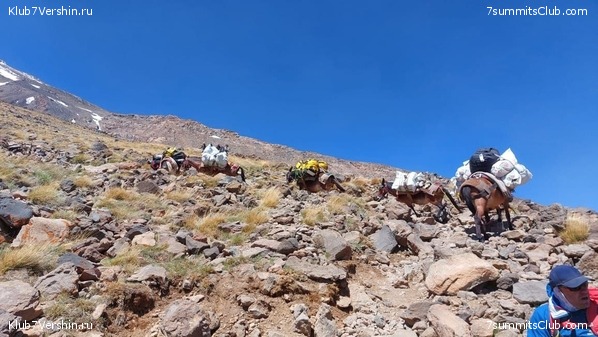 ��������. ���� 2022 ����. ������� ��������, ���� 22