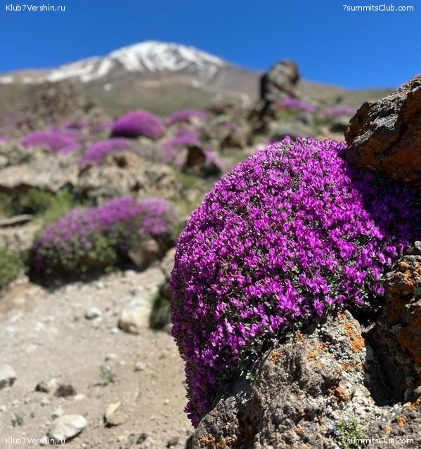 ��������. ���� 2022 ����. ������� ��������, ���� 92