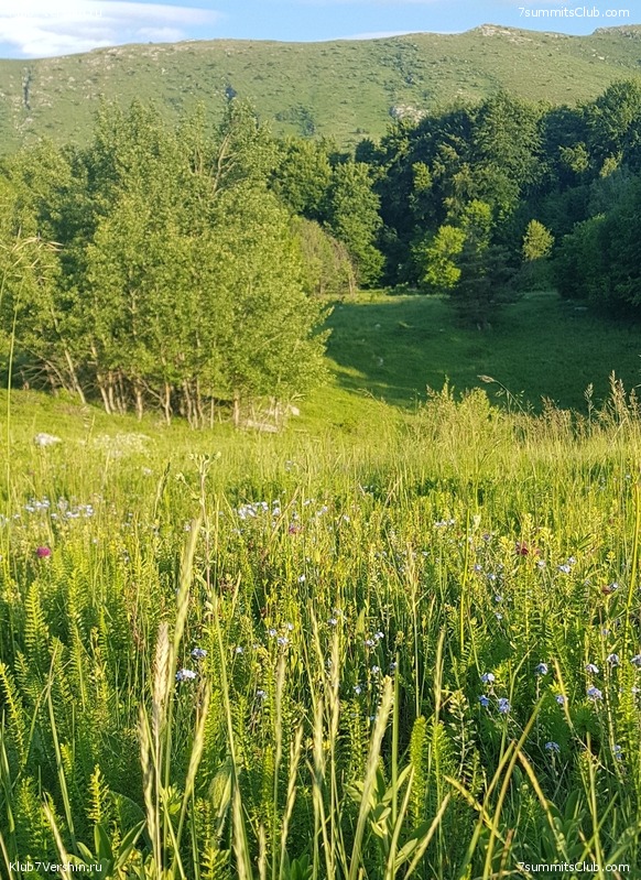 ���� 2022 ���. ���� - �����, ���� 32