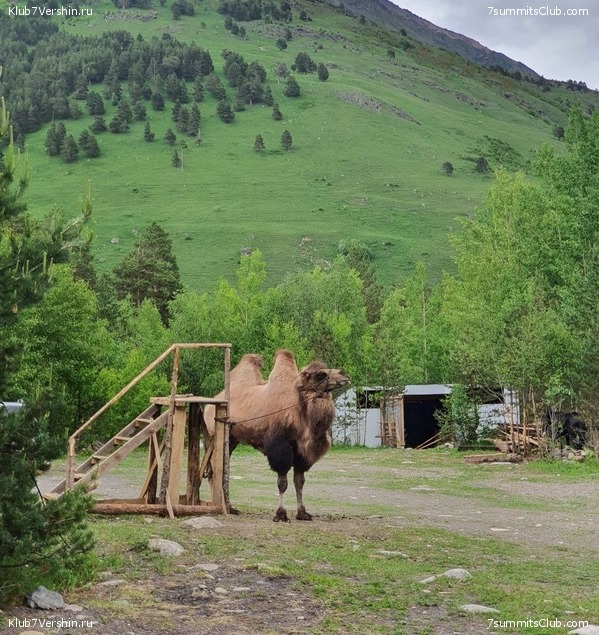 ������� 2022 ���. ����, ���� 110