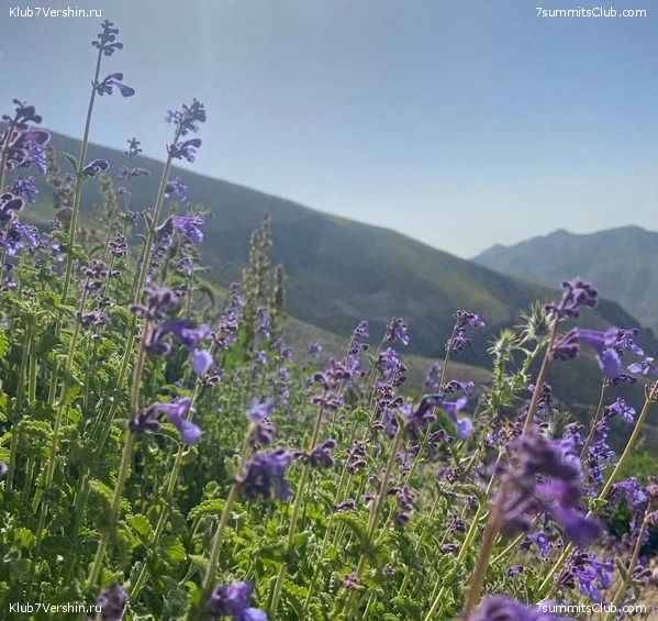 ��������. ���� 2022 ����. ������� ��������, ���� 71