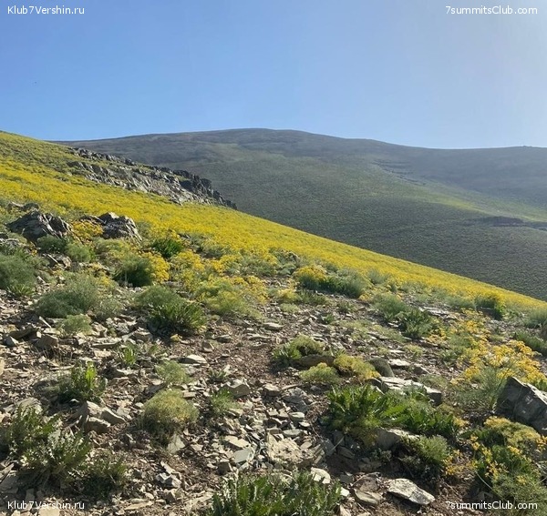 ��������. ���� 2022 ����. ������� ��������, ���� 72