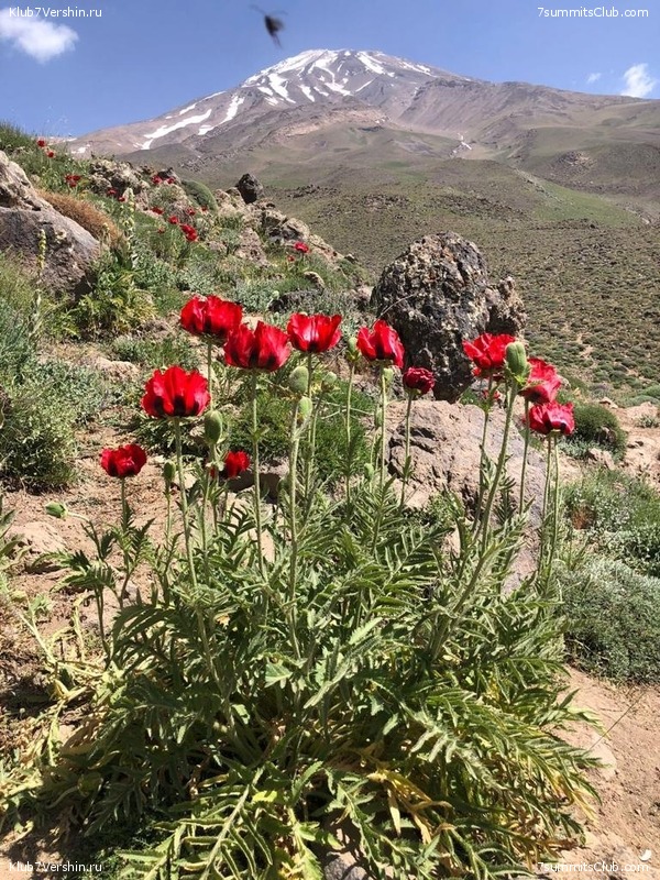 ��������. 2022 ���, ����. ��������� �������, ���� 112