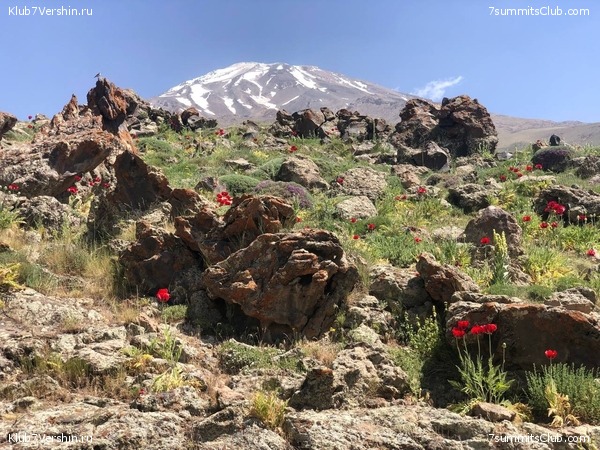 ��������. 2022 ���, ����. ��������� �������, ���� 83