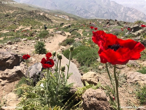 ��������. 2022 ���, ����. ��������� �������, ���� 84