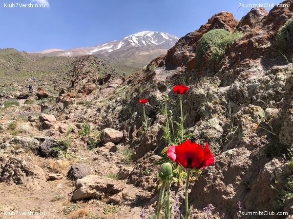 ��������. 2022 ���, ����. ��������� �������, ���� 85