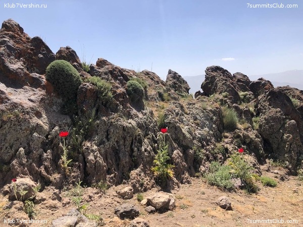 ��������. 2022 ���, ����. ��������� �������, ���� 86