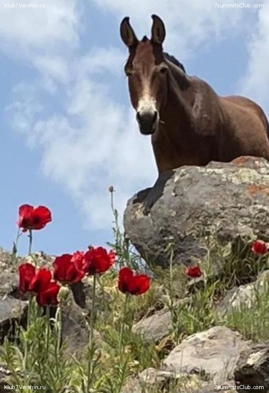 ��������. ���� 2022 ����. ������� ��������, ���� 142