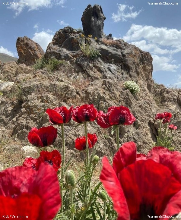 ��������. ���� 2022 ����. ������� ��������, ���� 105