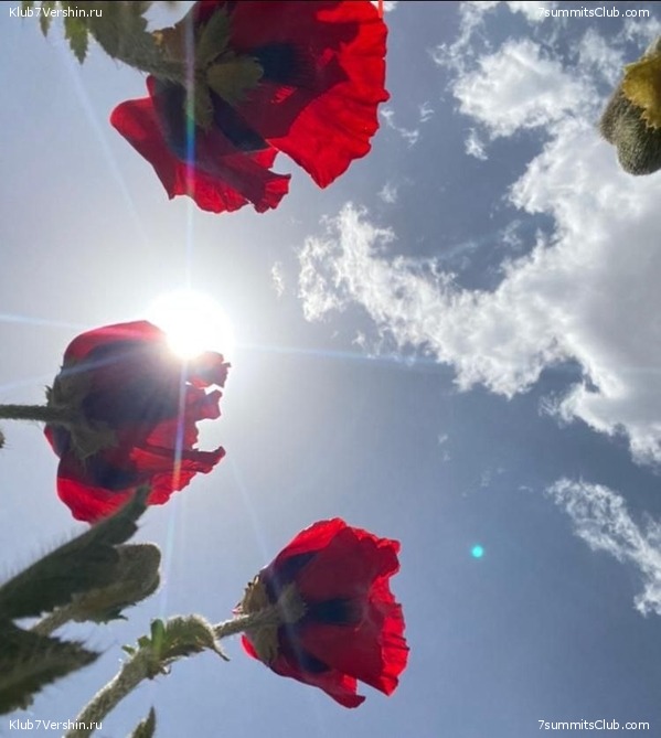 ��������. ���� 2022 ����. ������� ��������, ���� 97