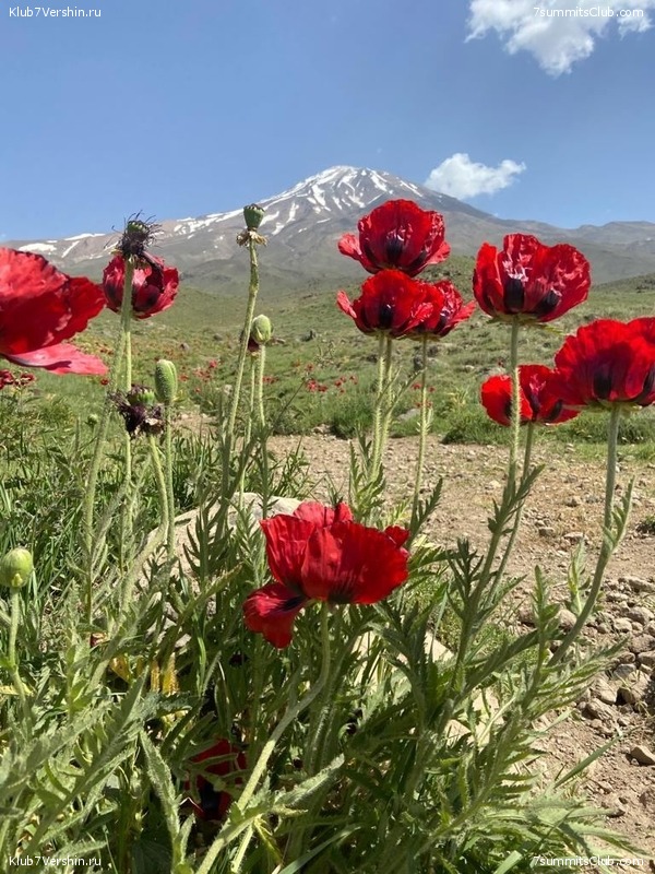 ��������. ���� 2022 ����. ������� ��������, ���� 130