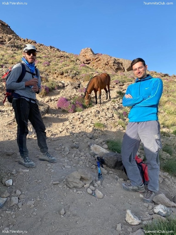 ��������. ���� 2022 ����. ������� ��������, ���� 135