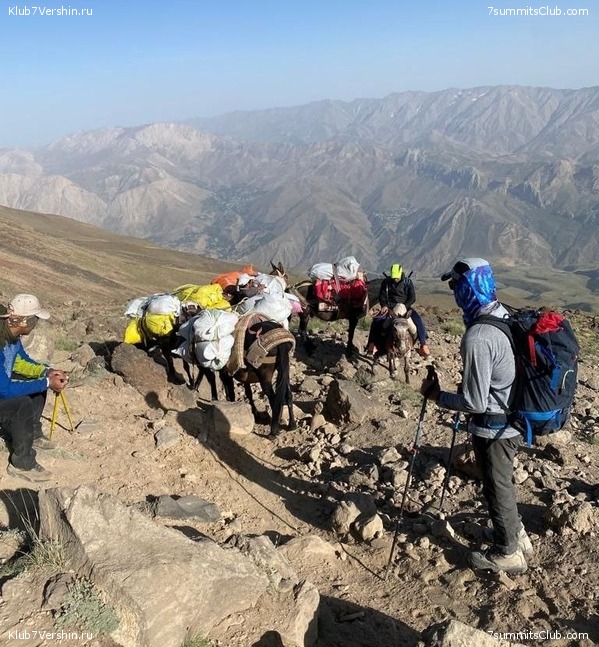 ��������. ���� 2022 ����. ������� ��������, ���� 93