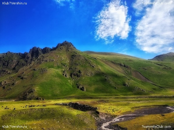 ������� � ������. ���������� ������ �������. 2022 ���, ���� 7