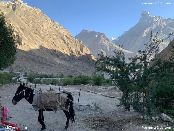 ����� ��� 2022, ���� 58