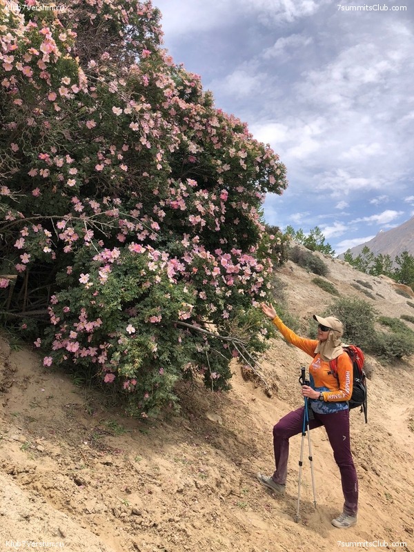 ����� ��� 2022, ���� 211