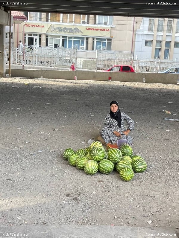 ��� ������ 2022, ����, ���� 79