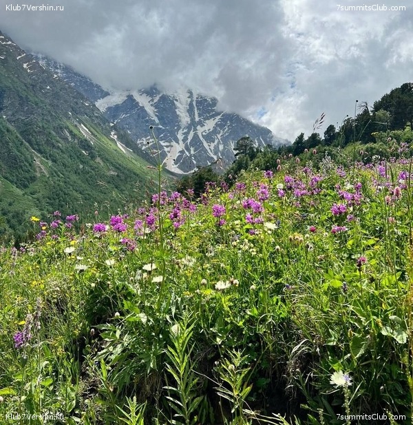 ������� 2022. ����, ���� 144