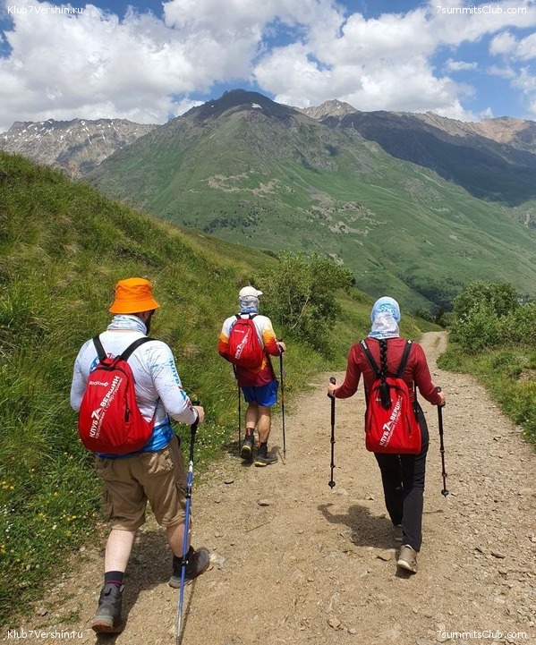 ������� 2022. ����, ���� 206