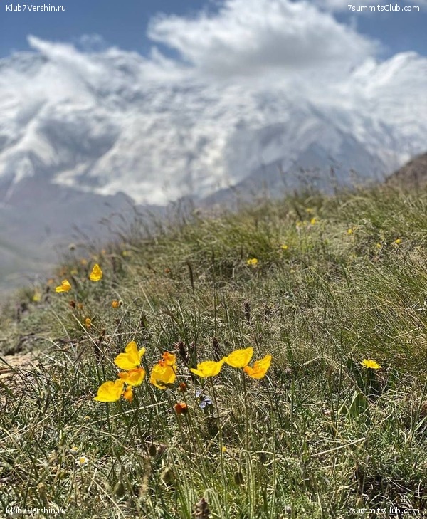 ��� ������ 2022, ����, ���� 73