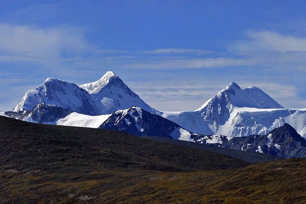 ��������, �������������� ��������, ���� 1014