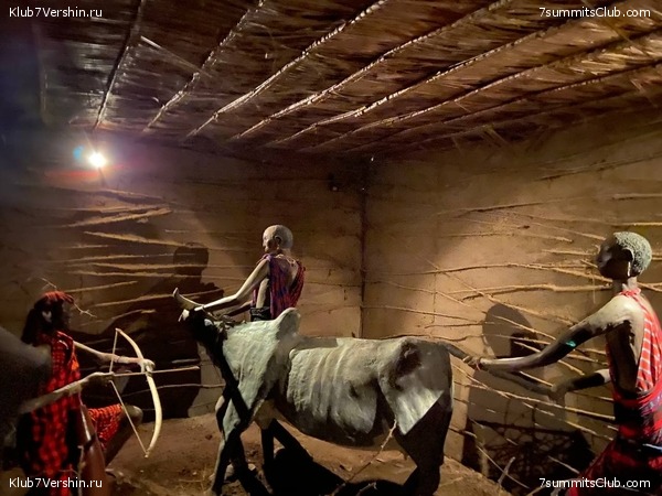 ������������ 2022, ������. �. ������� - �. ������, ���� 12