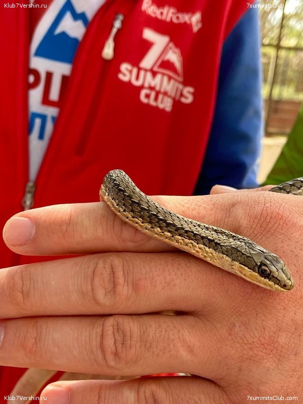 ������������ 2022, ������. �. ������� - �. ������, ���� 40