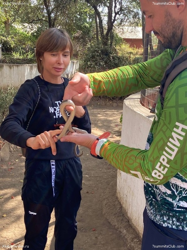 ������������ 2022, ������. �. ������� - �. ������, ���� 41